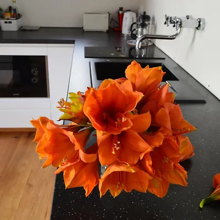 Winzerloft Apartament *