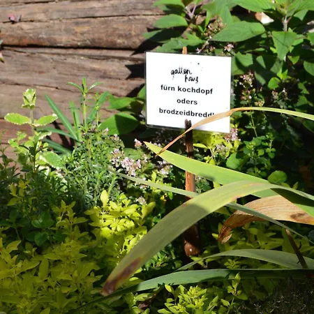 Apartament Winzerloft Sulzfeld am Main