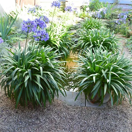 Winzerloft Sulzfeld am Main