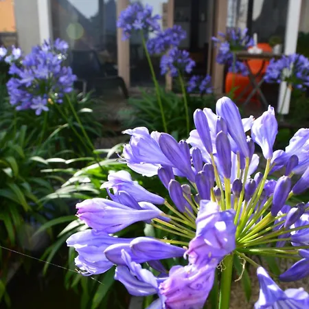 Winzerloft 아파트