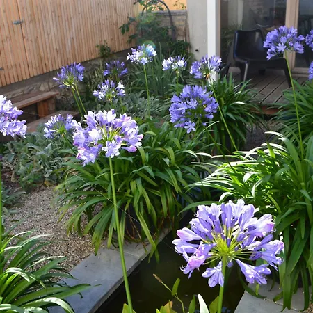 Winzerloft 아파트 술츠펠드암마인