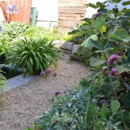 Winzerloft 아파트