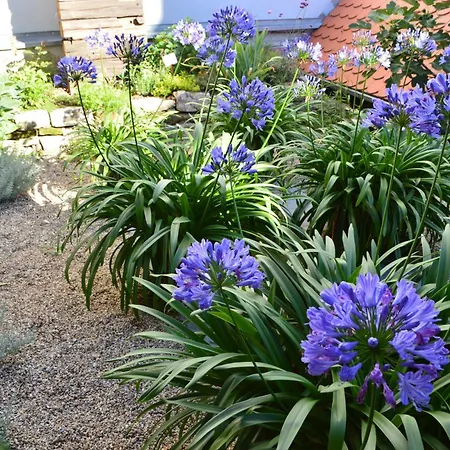 아파트 Winzerloft 술츠펠드암마인